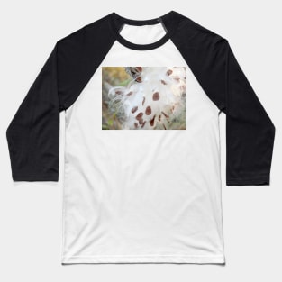 Milkweed Seeds Baseball T-Shirt